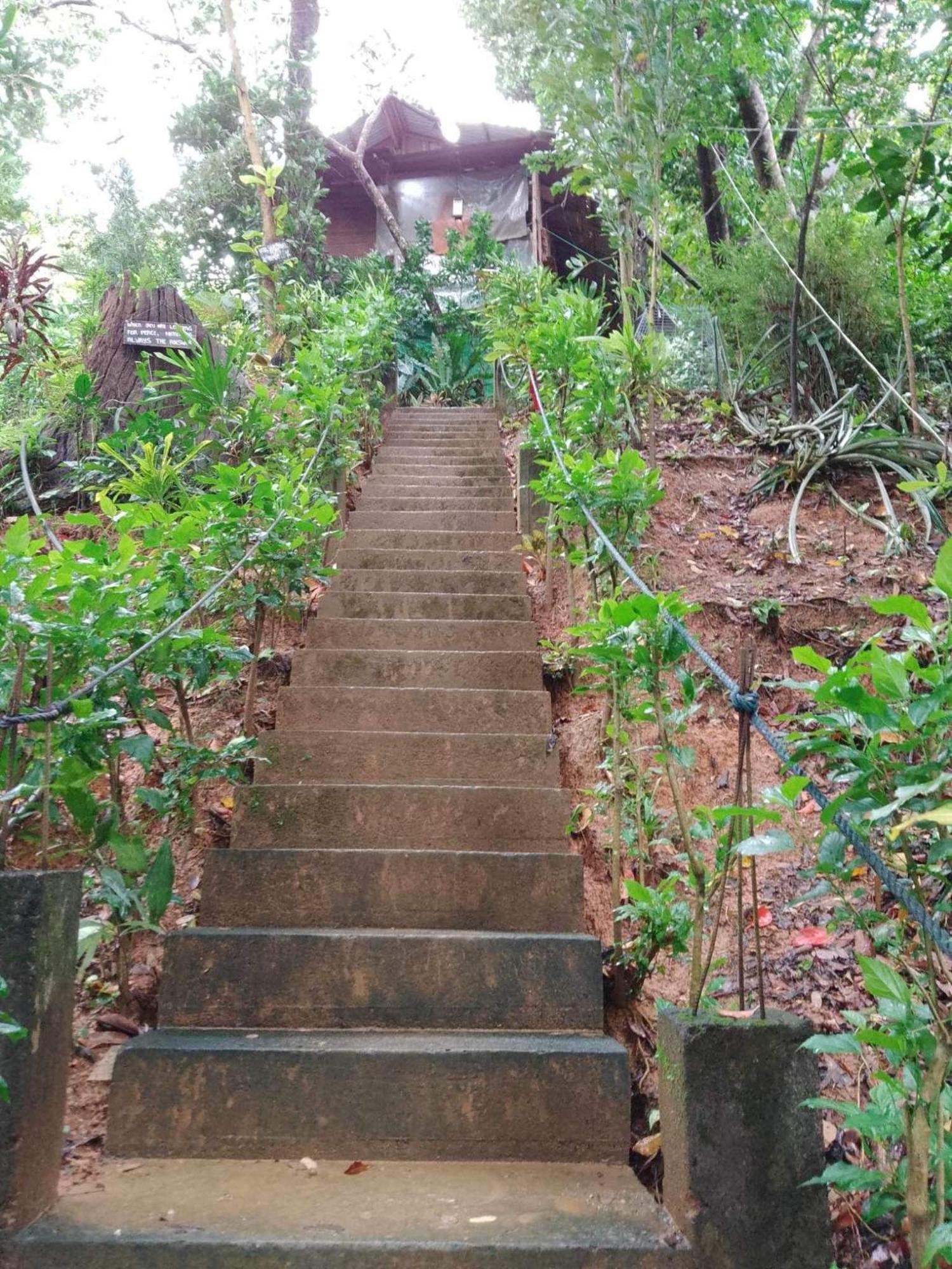Camp Talusi Hilltop Overlooking เอลนิโด ภายนอก รูปภาพ