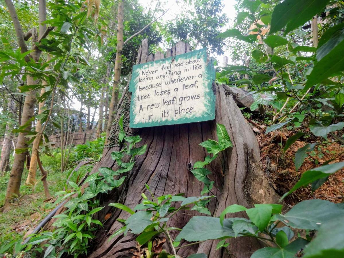 Camp Talusi Hilltop Overlooking เอลนิโด ภายนอก รูปภาพ