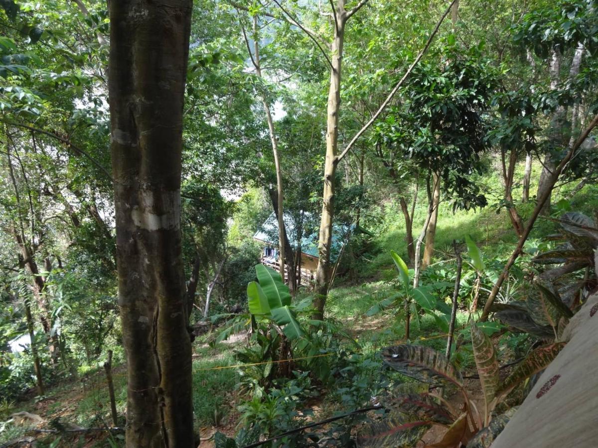 Camp Talusi Hilltop Overlooking เอลนิโด ภายนอก รูปภาพ